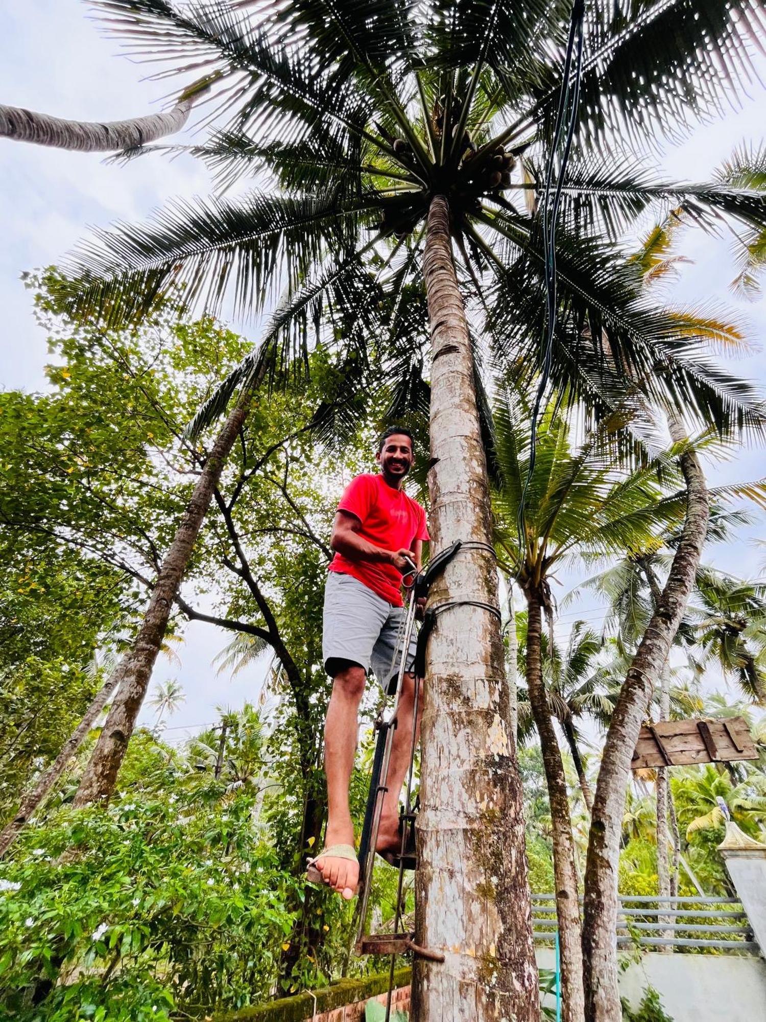 Riverrootsstays Mundrothuruth Luaran gambar